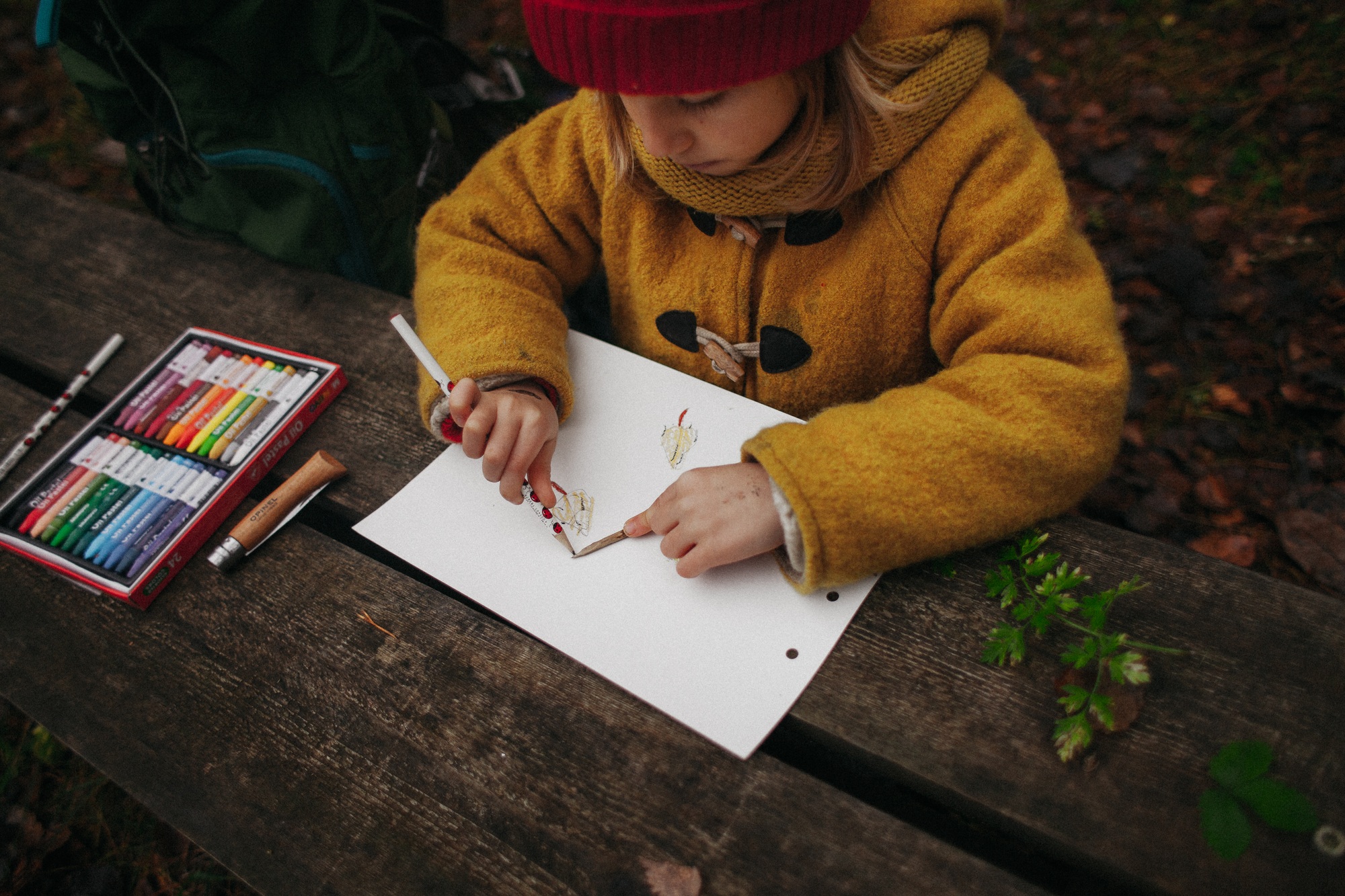 Little Child Drawing Outdoors in the Forest